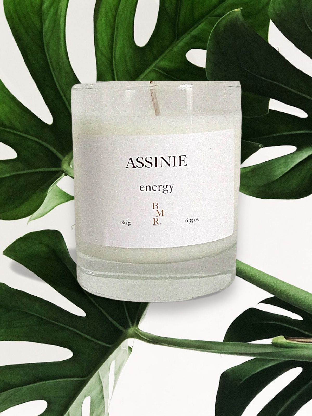 ASSINIE : collection d'été